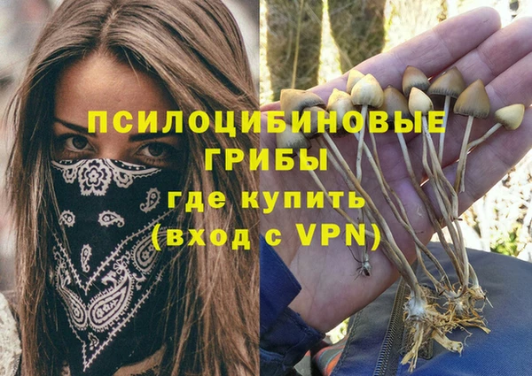метадон Алексеевка