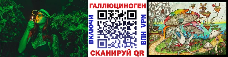 Псилоцибиновые грибы мицелий omg как войти Тайшет