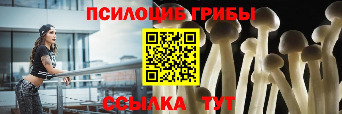 дарнет шоп  Галлюциногенные грибы мицелий  Вход с VPN  Галлюциногенные грибы мицелий  Тайшет 