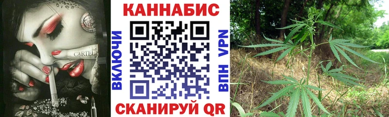 дарнет шоп  Тайшет  Конопля OG Kush 